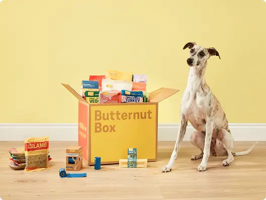 Butternut Box case study